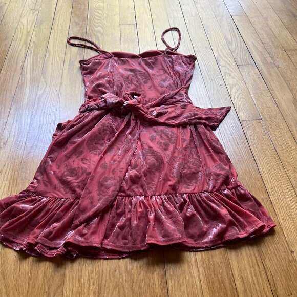 Intimately Free People Size S Pink Blush Velvet Floral Ruffled Mini Dress - Picture 14 of 15